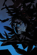 NIGHTWING #144 CVR C BECKY CLOONAN CARD STOCK VAR