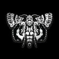 LIFE IS STRANGE DEATHS HEAD MOTH ENAMEL PIN BADGE