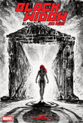 BLACK WIDOW: BLACK, WHITE & RED ROOM #1 COVER D GIUSEPPE CAMUNCOLI VARIANT
